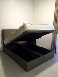 The Boutiq (D9), Apartment #549576991